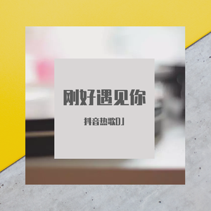 刚好遇见你(DJ版)
